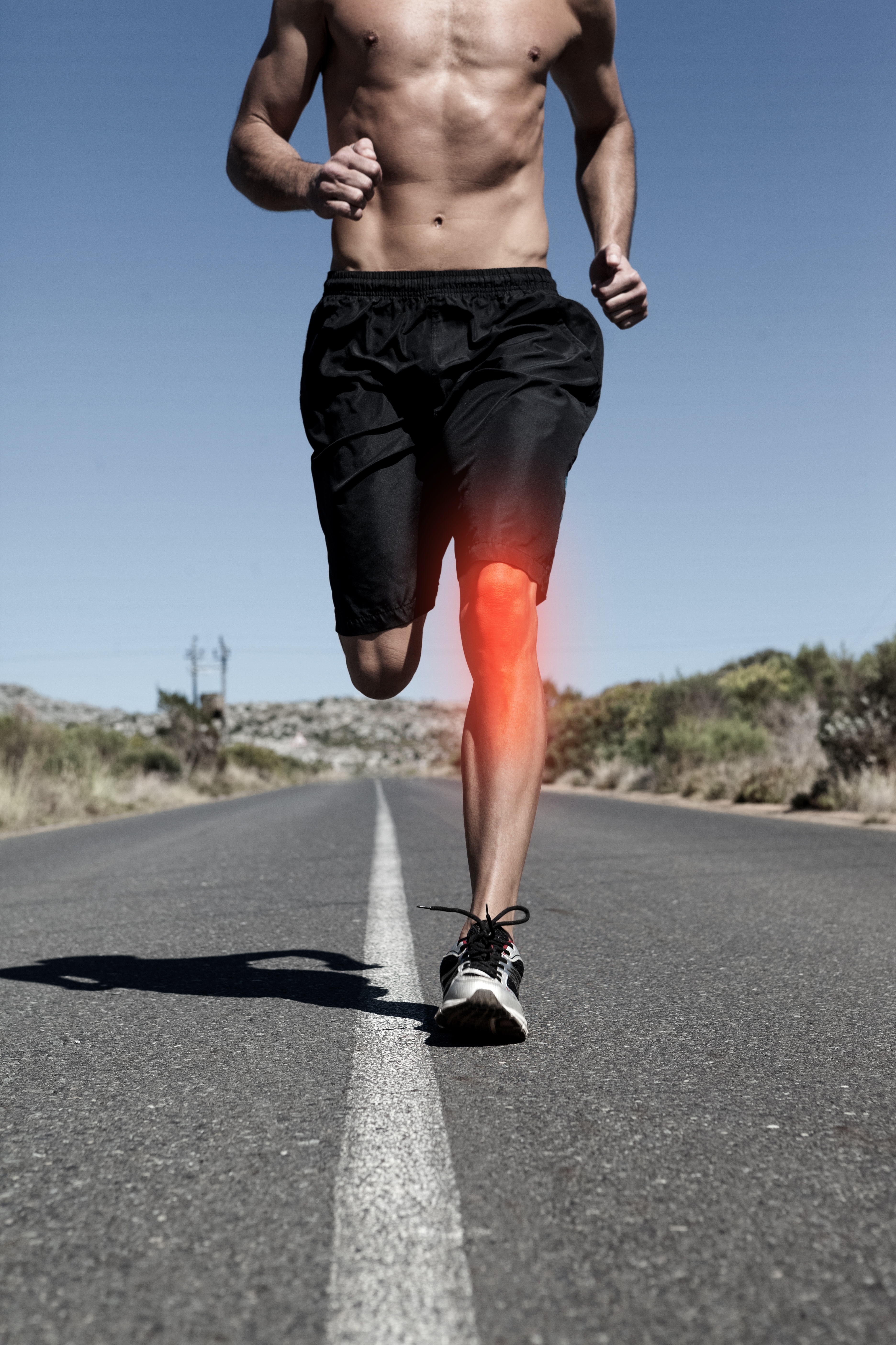 Patellar Tendon Load Progression During Rehabilitation